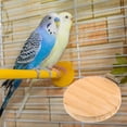thumbnail image 3 of dgysar Hamster Cage Step 5 Inch Small Pet Activity Platform for Chinchilla Parrot and Squirrel Family-Friendly Exercise and Rest Zone b 1pc, 3 of 3