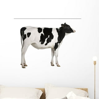 184 Pieces Cow Print Decor, Adhesive Cow Print Stickers Cow Print Vinyl  Wall Art Decal Removable Cow Print Wall Decor Waterproof Animal Design Cow  Decals for Walls Bedroom Living Room Nursery, Black