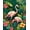 Green, Pattern 7, variant on ODIKA 4'x6' Machine Washable Non-Slip Area Rug, Tropical Flamingo for Summer Vibes and Charm High Traffic Rug, Pink, 99166