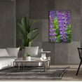 thumbnail image 6 of Epic Graffiti 'Blue Violet Lupine Flower' by Cora Niele, Canvas Wall Art, 40"x60", 6 of 8