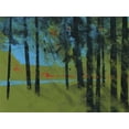 thumbnail image 2 of Bailey, Paul 24x19 White Modern Wood Framed Museum Art Print Titled - Forest Brook, 2 of 4