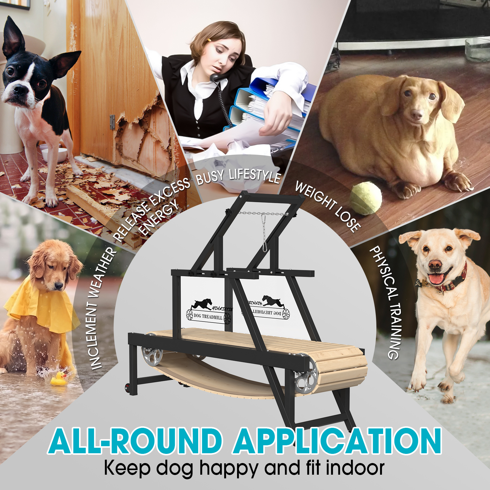 Jog a dog treadmill for sale used best sale