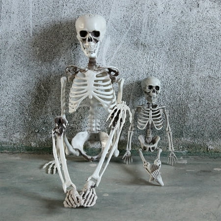 2021 Full Life Size Human Skeleton Adjustable simulation skull decoration party decoration props 2021 Halloween New