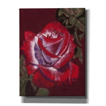 Epic Graffiti 'Ruby' by Barbara Keith, Canvas Wall Art, 12"x16"