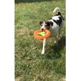 thumbnail image 4 of The Show and Tail, Float and Fetch Fun Waterproof Nylon Pet Throw Toy - AquaPaw, 8.5 Inch Size, Orange, 4 of 6