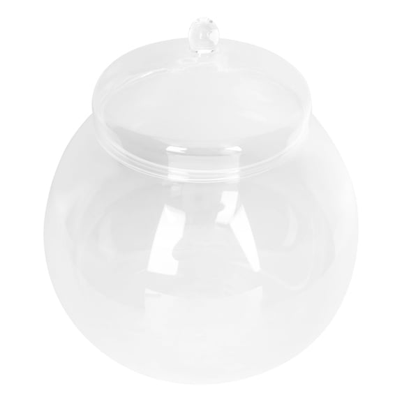 Oraceous Transparent Glass Planter Jars Terrarium Containers for Indoor Plants, , Landscaping and Home Decor