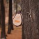 thumbnail image 1 of Mountainhiker Outdoor-Aufbewahrungstasche Sierra Camping Bowl Carry Pack (Khaki) Ndcxsfigh Nuevos Originales, 1 of 5