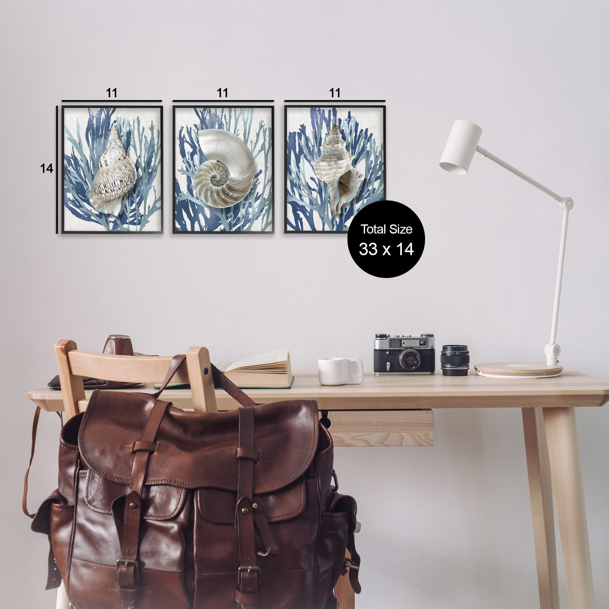 Stupell Industries Trio of Shell Coral Blue Beach Design Graphic Art Black Framed Art Print Wall Art Set of 3, 11x14, by Caroline Kelly