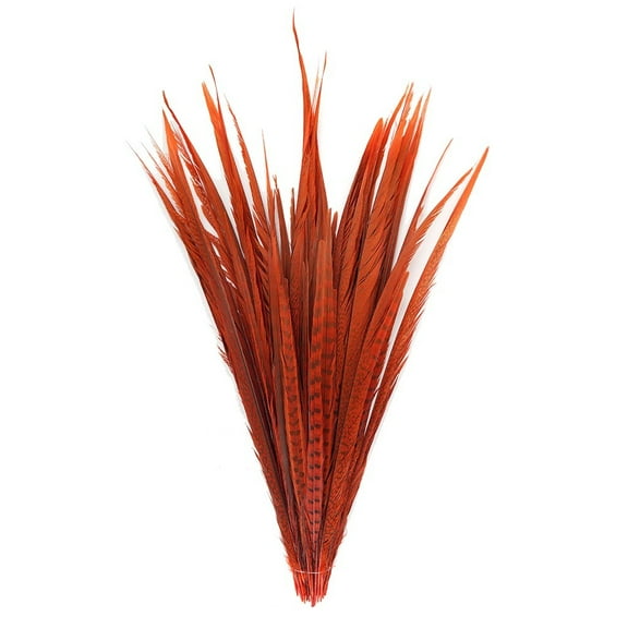 Zucker Feather Products Assorted Pheasant Tails Dyed - 16x30" - Orange