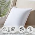 thumbnail image 3 of Down Decor I122F2 22 x 22 in. Feather Pillow Insert Twin Pack Pillow - Set of 2, 3 of 7