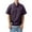 Purple, variant on Men's Techwear Half-Zip Short-Sleeve Top Lightweight Breathable Fabric Summer Outdoor & Casual Wear,Brown,L