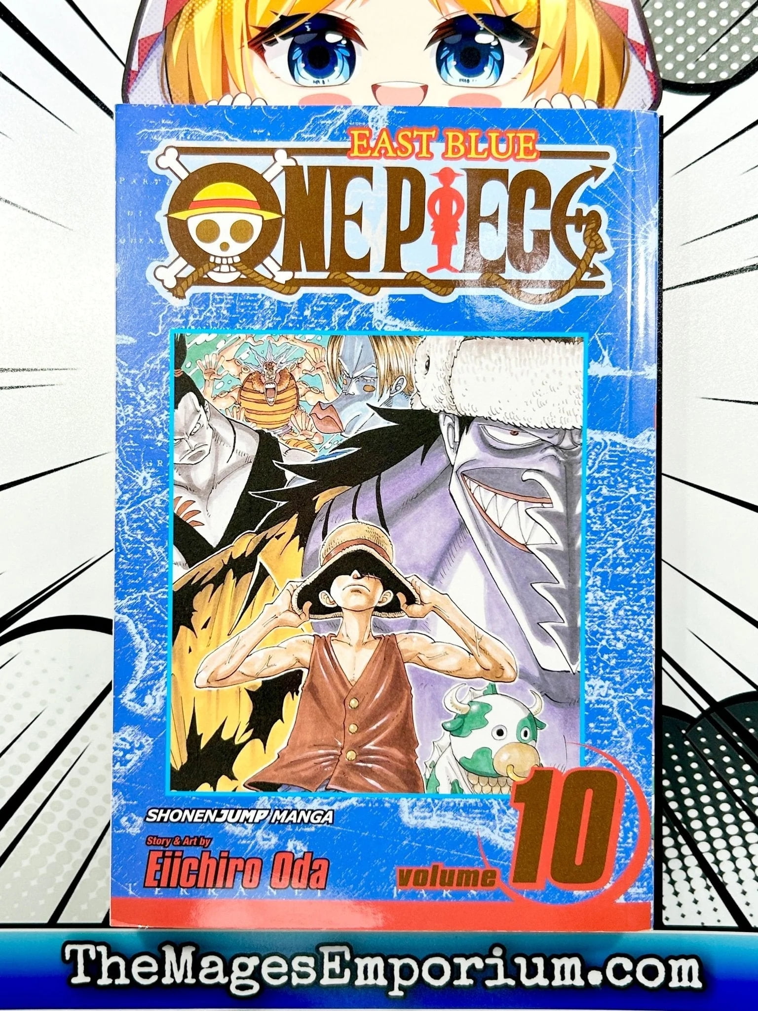 One piece ワンピース 関連本 公式ファンブック・ドアーズ 10冊