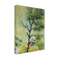 thumbnail image 3 of Trademark Fine Art Marion Rose Pine Abstract Canvas Wall Art - 14x19, 3 of 5