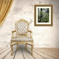 thumbnail image 3 of Talbot Frank, Christopher 26x32 Gold Ornate Wood Framed with Double Matting Museum Art Print Titled - CA Redwood trees with Rhododendron Flowers, 3 of 4