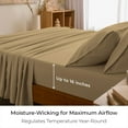 thumbnail image 4 of Mellanni 4-Piece Iconic Queen Bedsheet Set - Microfiber, 16" Deep Pocket, Cooling, Wrinkle, Fade, Stain Resistant, Gold, 4 of 7