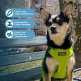 thumbnail image 2 of Voyager Step-In Lock Dog Harness & Reflective Leash Set w/ Neoprene Handle 6ft - For Small to Large Breed Dogs/ Cats, Cute & Heavy-Duty for Walking, Running & Training - Lime Green Lime Green Trim, L, 2 of 9