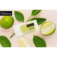 thumbnail image 4 of Malina Organic Aluminum-Free Lime Natural Deodorant 2.5 fl oz | 2-pack, 4 of 4