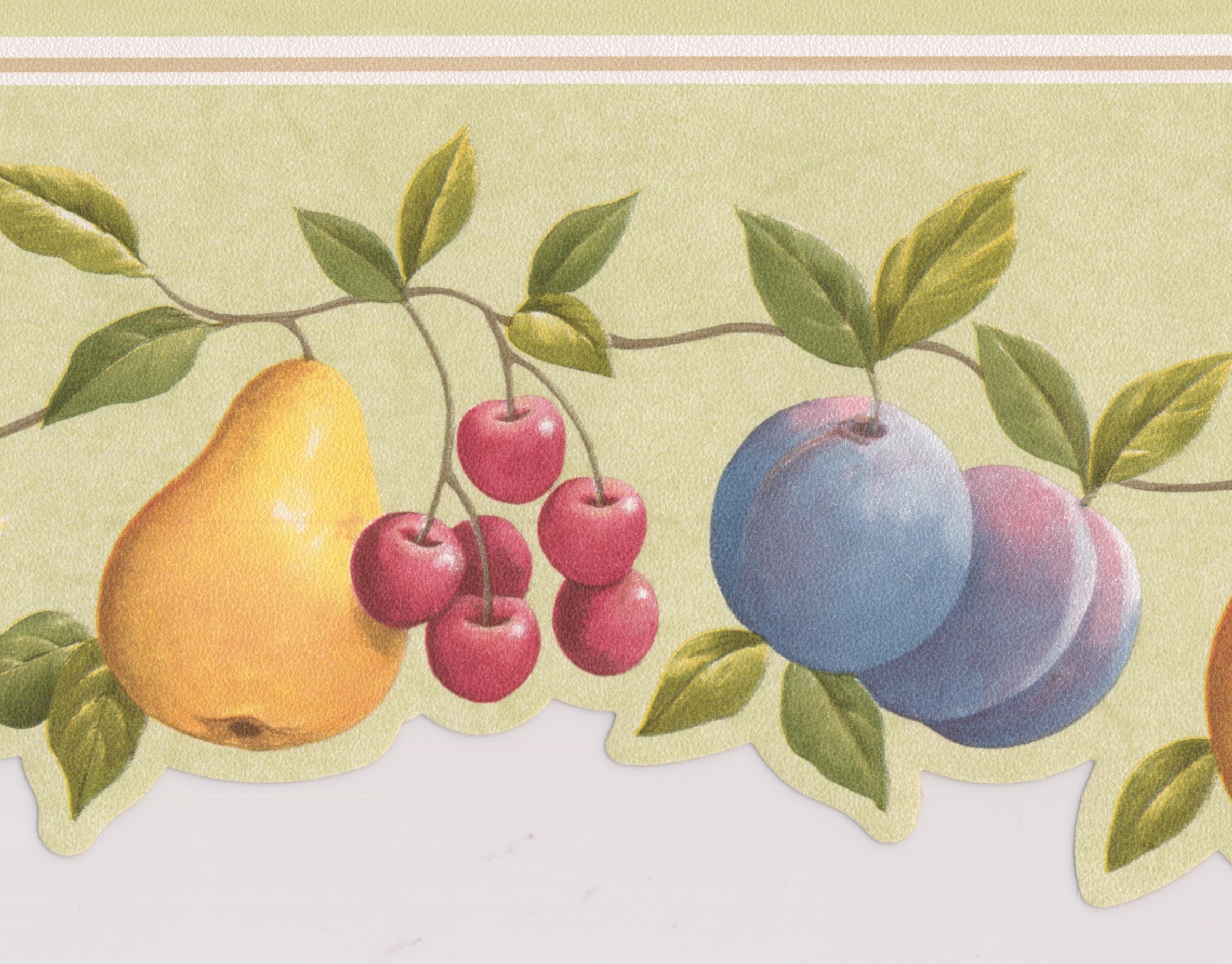 Wallpaper Border Beautiful Apple Pear Cherry Grapes Plum on Vine