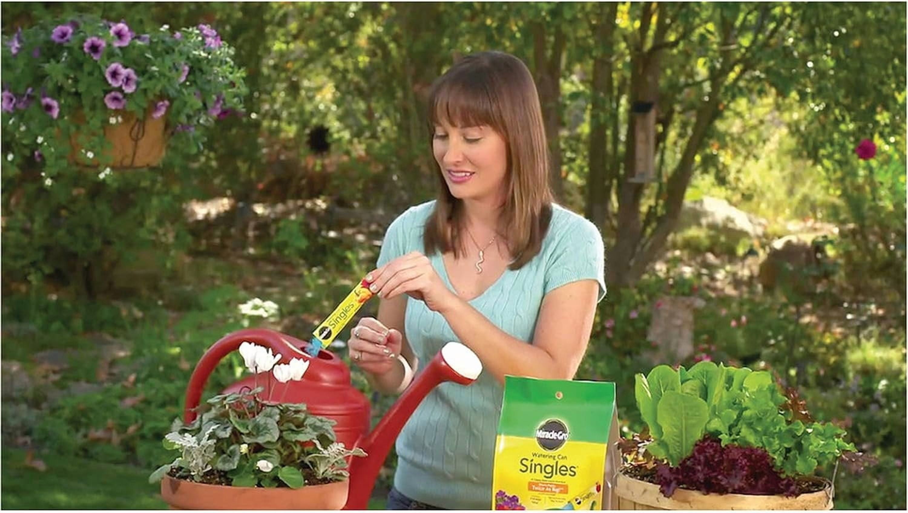 2-pack Miracle-Gro Watering Can Singles All Purpose Plant Food - Water Soluble - 2 Pack, 48 Packets — Outdoor & Indoor Plant Use, Easy Application