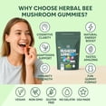 thumbnail image 5 of Herbal Bee Organic Mushroom Gummies with Ashwagandha, Herbal Mushroom Supplement, Berry Flavor, 80 Count, 5 of 8