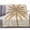 Tan, Beige, Sand, variant on Flannel Throw Blanket for Couch Sofa Bed,Summer Tropical Coconut Tree Soft Cozy Warm Fuzzy Blanket 40x50in