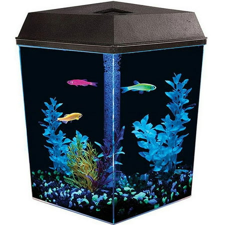 Aquarius Aq11105g Aquarius 1 Gallon Glo