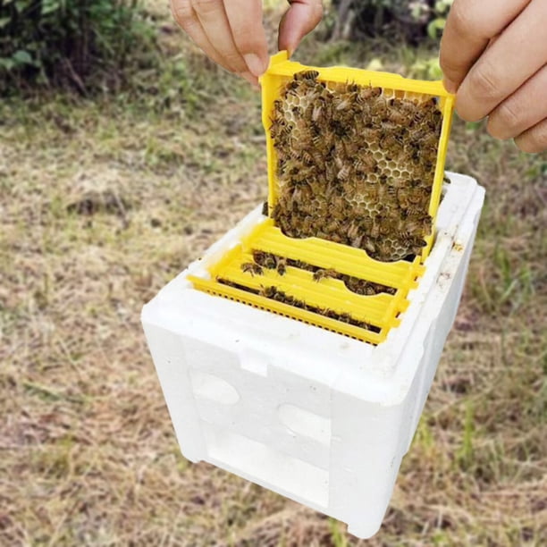 Caja de abejas de espuma Caja de apareamiento de abeja versátil de abeja