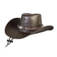 thumbnail image 2 of Sombrero de vaquero occidental, sombrero de vaquera para adultos, accesorios de disfraz ligeros de moda Café, 2 of 9