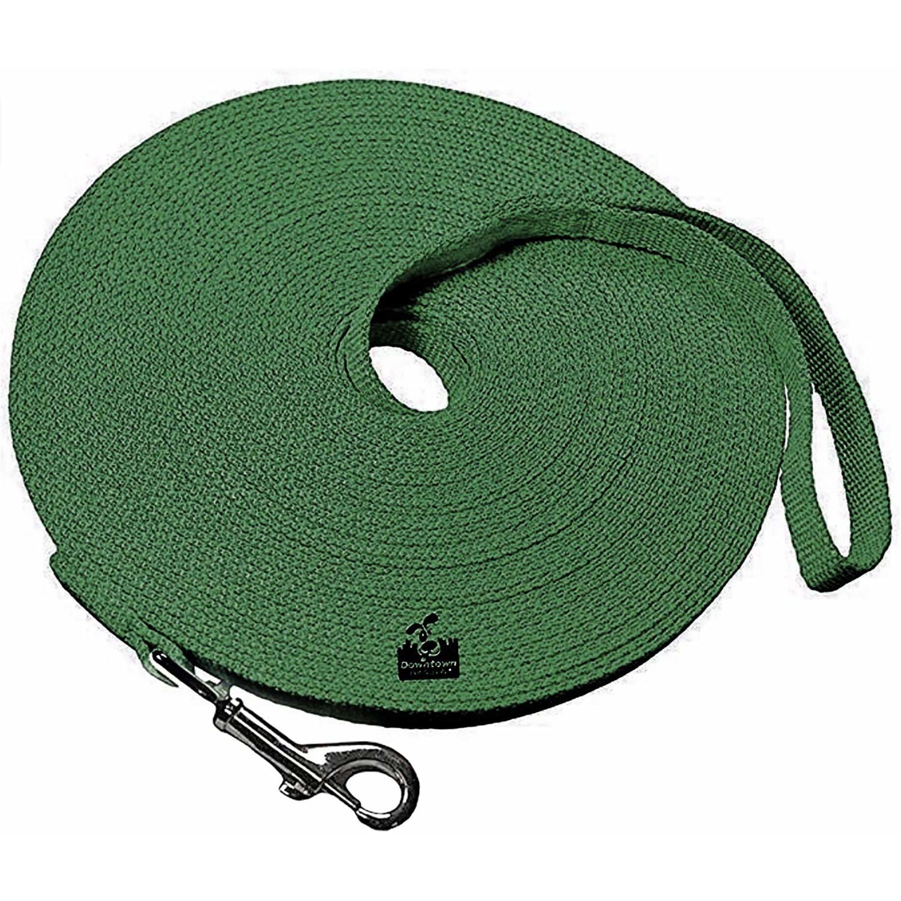 Downtown Pet Supply Long Lead Leash for Dog Training, Hunter Green, 150