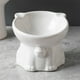 thumbnail image 1 of Elevated Cat Food and Water Bowl, Ceramic Raised Feeder Dish for Neck Health, Whisker Relief, Anti Vomiting, Slow Eating, Pet Dining Bowls for Cats and Small Dogs, Non-Slip Wide Shallow Design, 1 of 6