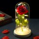 thumbnail image 2 of Flor de rosa eterna del día de San Valentín con luces de cadena de hadas en vidrio (rojo) Likrtyny Para estrenar, 2 of 6