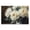 Moody White Peony Bouquet, variant on Stupell Industries French Country Golden Vase with Peonies Black Floating Frame Canvas Art, 25 x 17, by Petals Prints Design