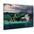 thumbnail image 2 of Marmont Hill "Terns in Flight" Painting Print on Wrapped Canvas, 2 of 5