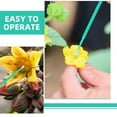200 Pcs Succulent Pollinator Plant Pollinator Tool Bees Pollinating