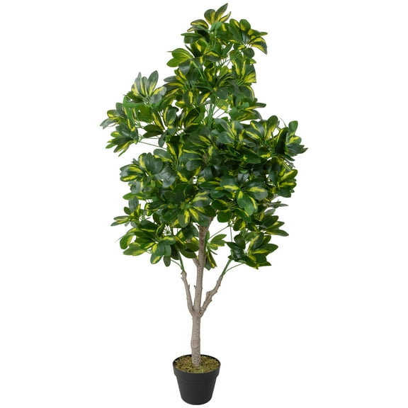 Northlight 4.25' Unlit Artificial Potted Two Tone Scheffera Plant Tree