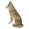 thumbnail image 5 of SITTING COYATE STATUE, 5 of 7