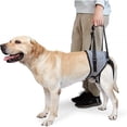 thumbnail image 1 of Dog Sling For Large Dogs Hind Leg Support To Help Rehabilitate The Hind Limbs Of Elderly Dogs With Weak Hind Legs Disabilities WHZ, 1 of 5