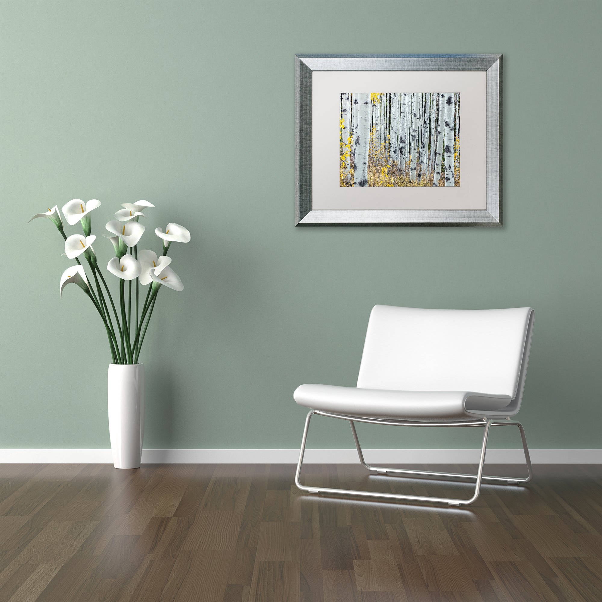 Trademark Fine Art 'Forest of Aspens' Canvas Art by Pierre Leclerc, White Matte, Silver Frame