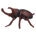 thumbnail image 1 of Modelo de escarabajo de plástico, modelo de insecto escarabajo realista, modelo de insecto, figuras de insectos de plástico, estándares líderes en la industria, 1 of 14