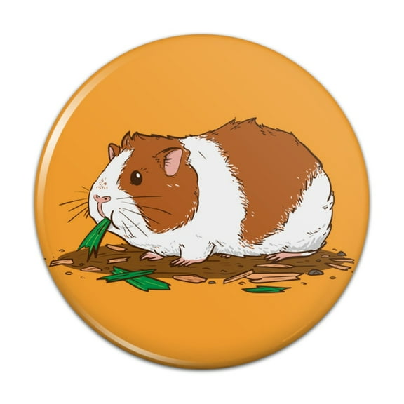 Guinea Pig Eating Pinback Button Pin Badge - 1" Diameter