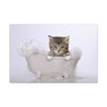 thumbnail image 3 of Cute Main Coon Kitten Bathee Canvas Wall Art  for Home Decor Ready-to-Hang, 3 of 18