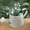 A, variant on Vintage Iron Watering Can for Outdoor Indoor Plants, 1 Gallon Decorative Countryside Style Water Can with Removable Spout, Perfect Metal Watering Can for Indoor Plants and Garden Accessories