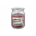 thumbnail image 1 of 18oz Cashmere Candle, 1 of 1