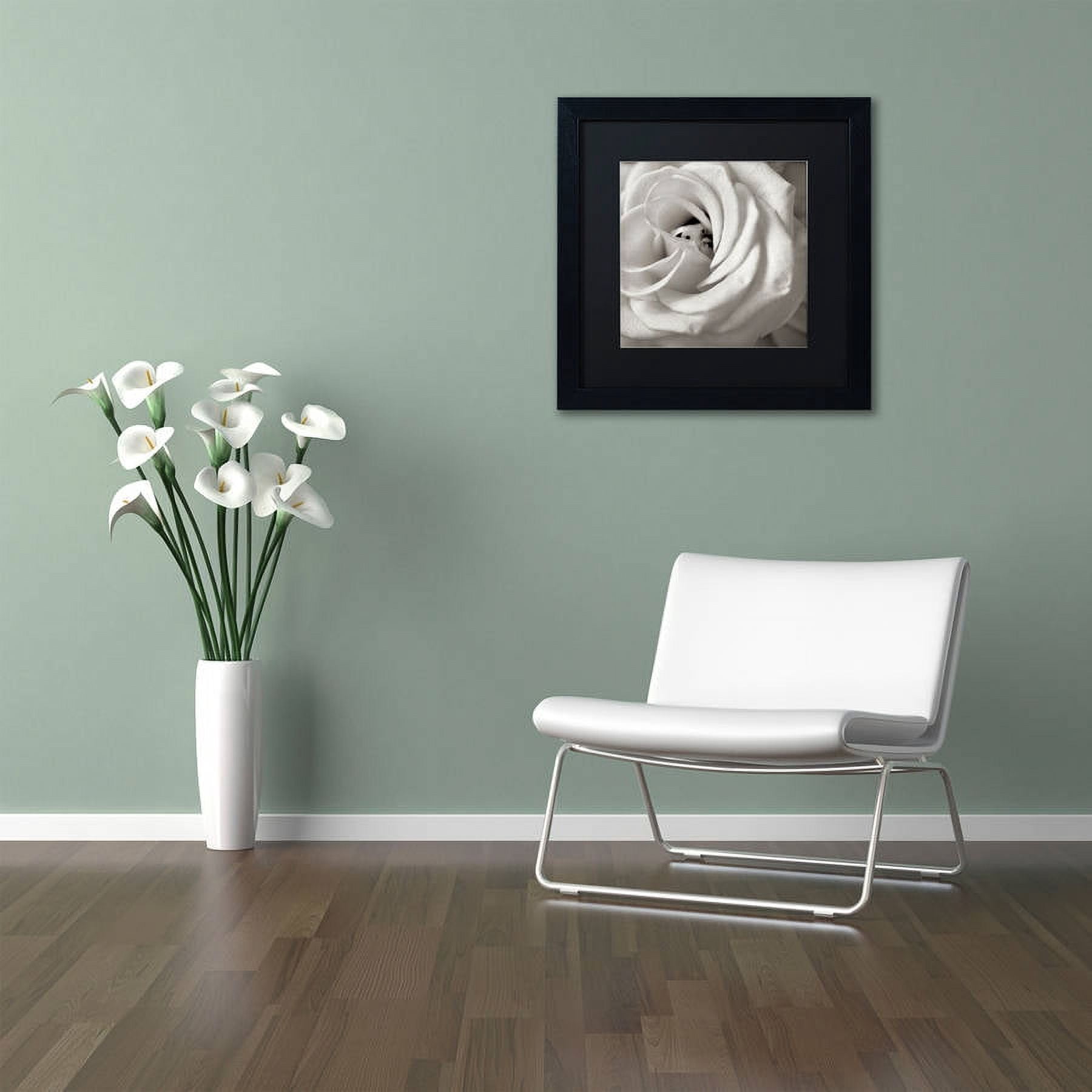 Trademark Fine Art "Florison 43" Canvas Art by Alan Blaustein, Black Matte, Black Frame