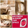 thumbnail image 6 of Small Spaces Air Freshener for Home, Apple Cinnamon Scent 6 Pack, 6 of 7