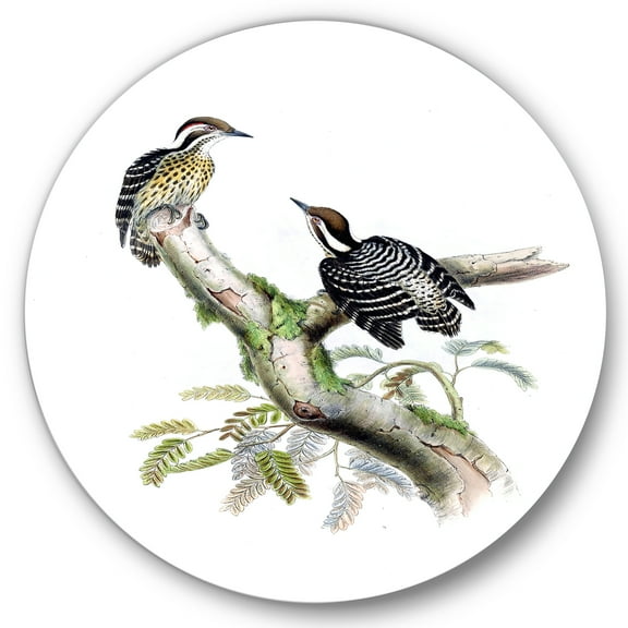 Designart 'Ancient Birds In The Wild VIII' Traditional Circle Metal Wall Art 36x36 - Disc of 36