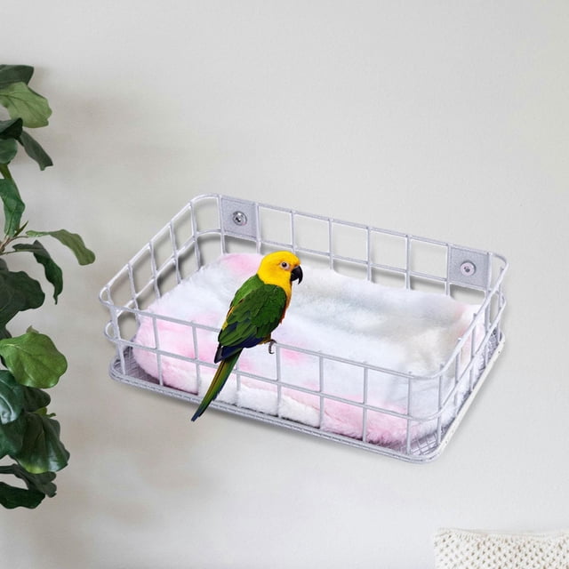 de alambre para percha de loros, fácil de instalar, cama para dormir, soporte de descanso, accesorio de jaula para pájaros pequeños y Blanco