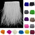 thumbnail image 3 of 4 "-6" (10-15cm) Real Fringe Edge 1yard / 1M - Champagne, as described, 3 of 5