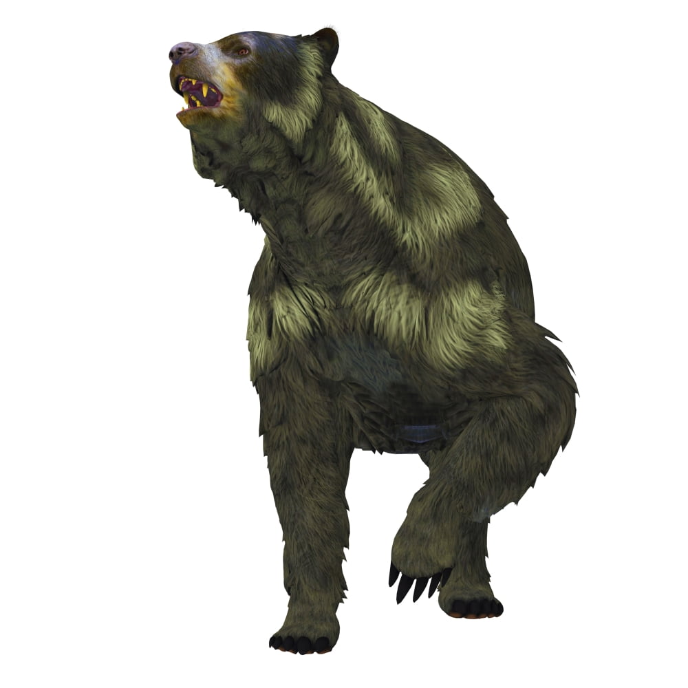 Front view of an Arctodus short-faced bear. Arctodus, also known as the