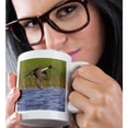 thumbnail image 2 of 3drose, a Northern Pintail Drake., 11oz Mug, 2 of 6